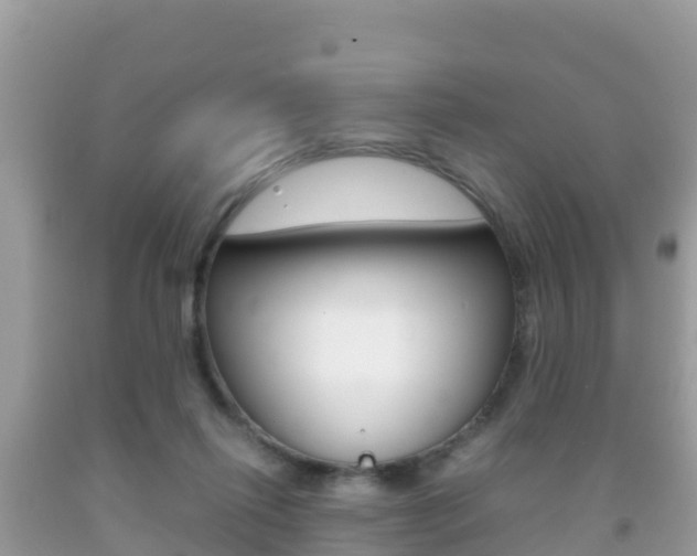 X0000092220262200709140927