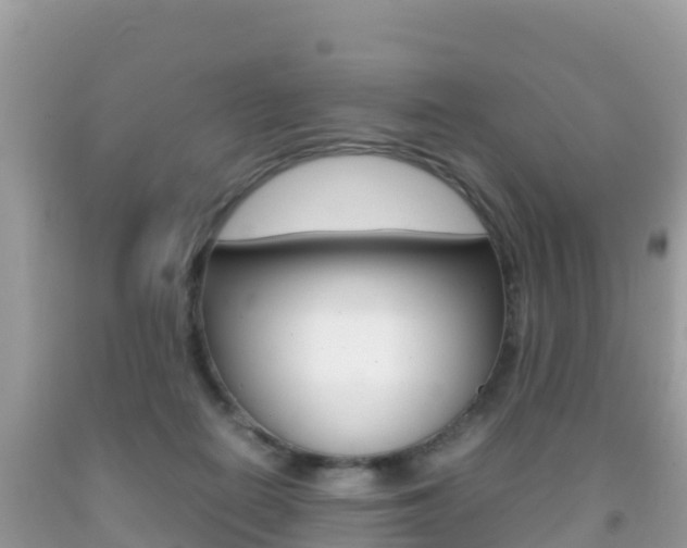 X0000092220266200709140927