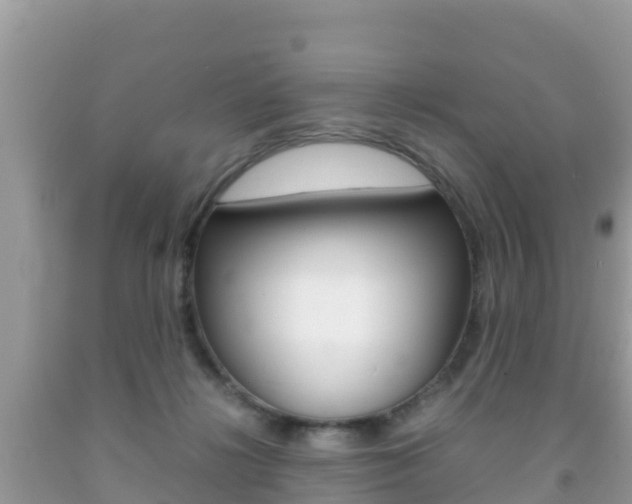 X0000092220268200709140927