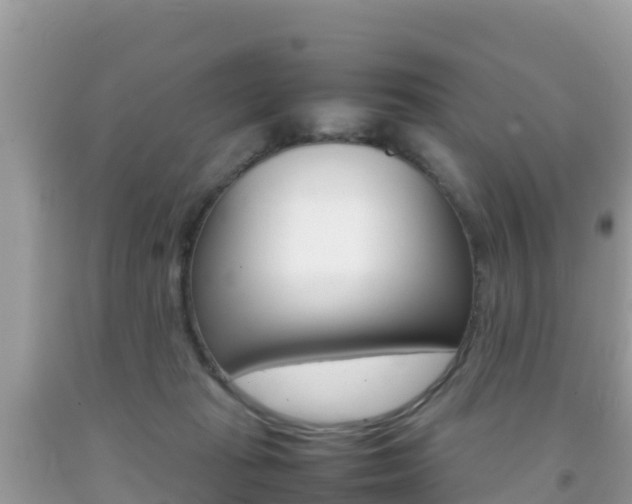 X0000092220269200709140927