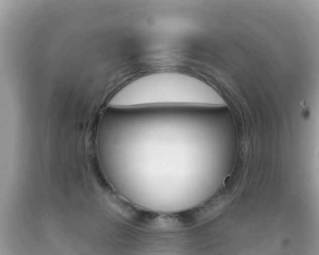 X0000092220270200709140927