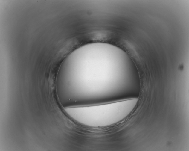 X0000092220273200709140927