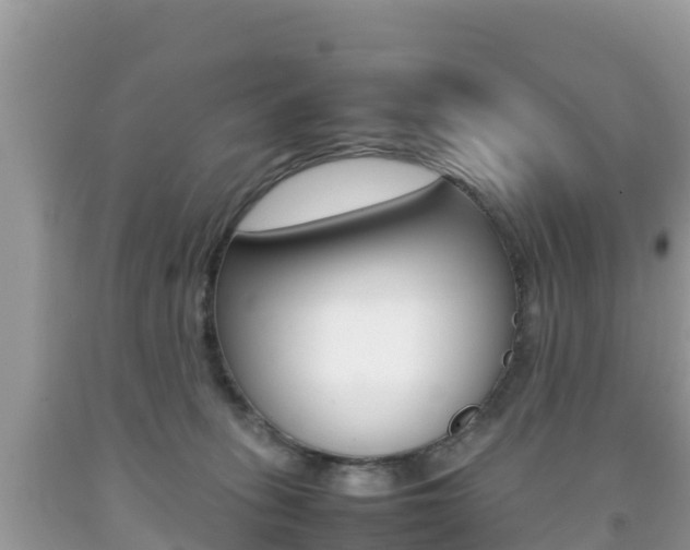 X0000092220275200709140927