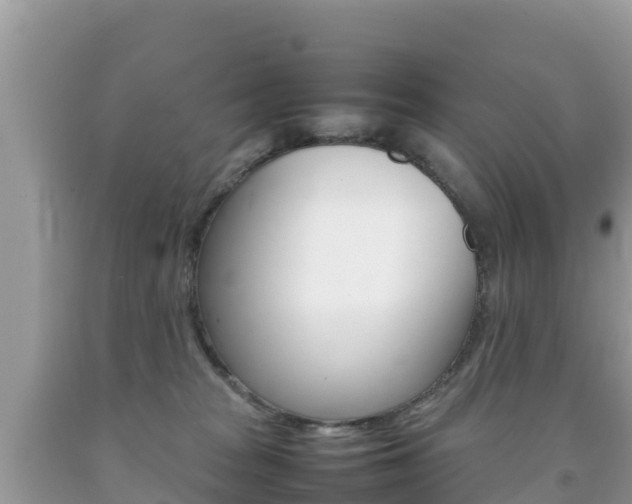X0000092220277200709140928