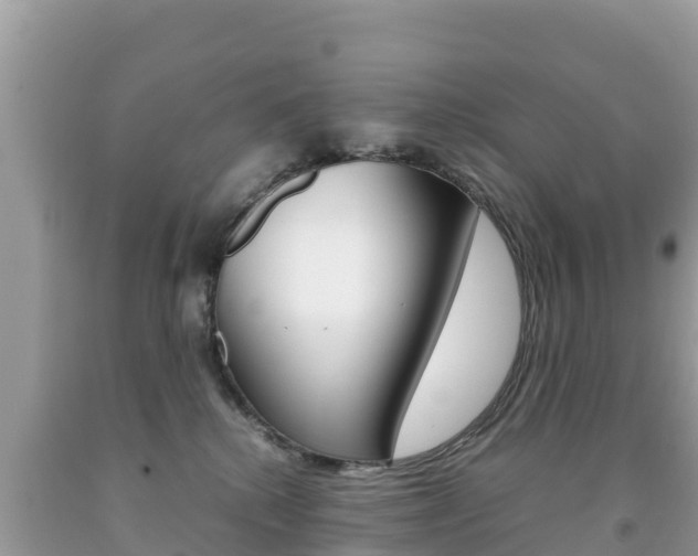 X0000092220280200709140928