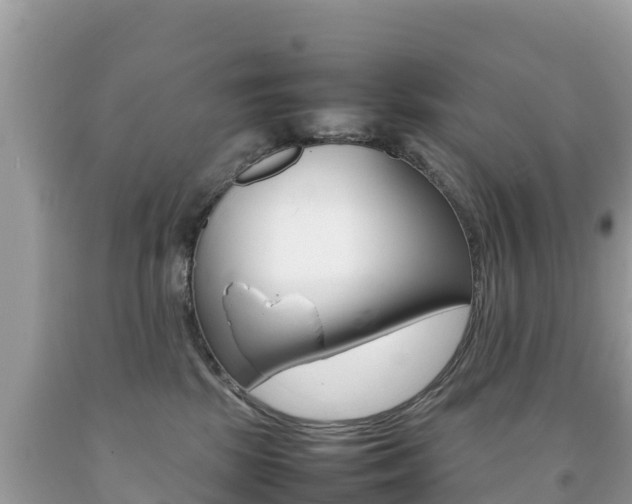 X0000092220281200709140928
