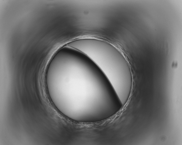 X0000092220289200709140927