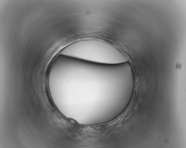 X0000092220290200709140927