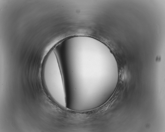 X0000092220292200709140927