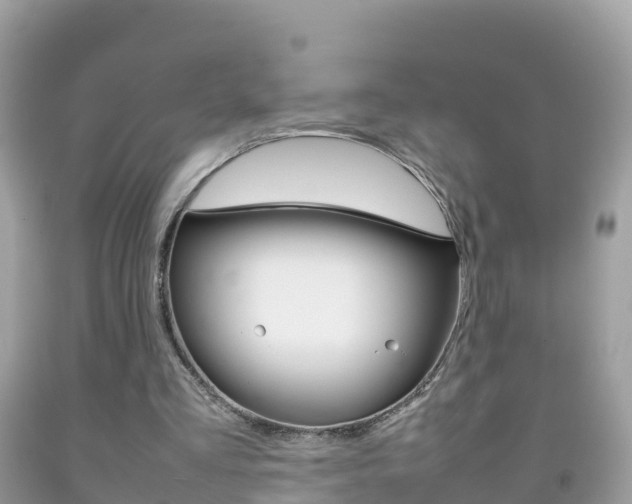 X0000092220293200709140927