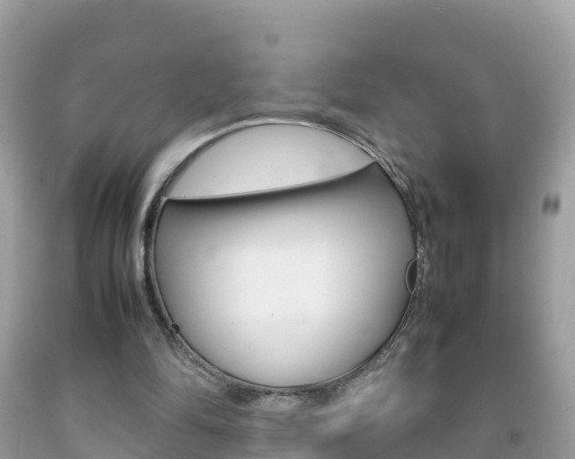 X0000092220294200709140927