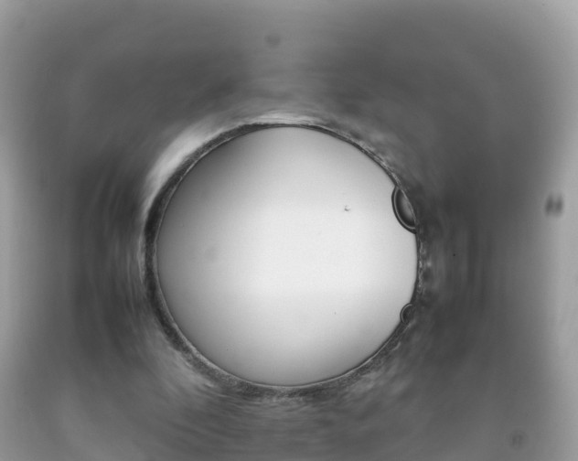 X0000092220296200709140927