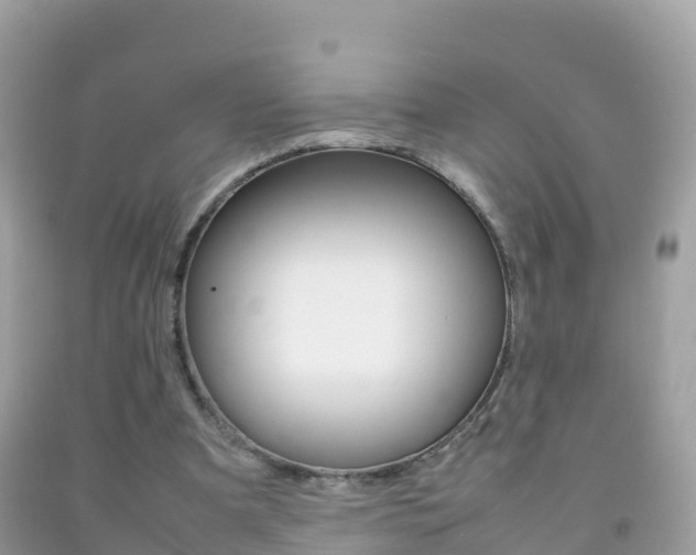 X0000092220297200709140927