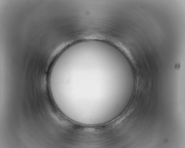 X0000092220298200709140927