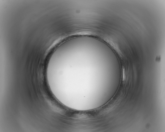 X0000092220300200709140927