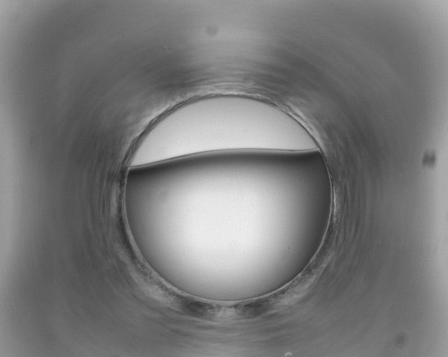X0000092220301200709140927