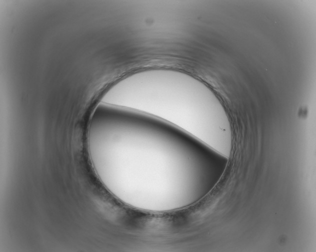 X0000092220303200709140927