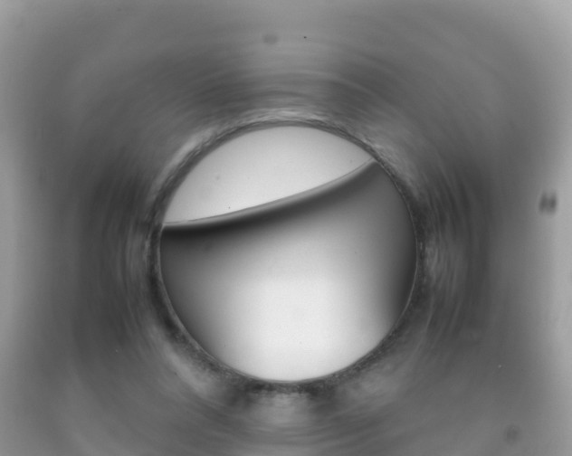 X0000092220304200709140927