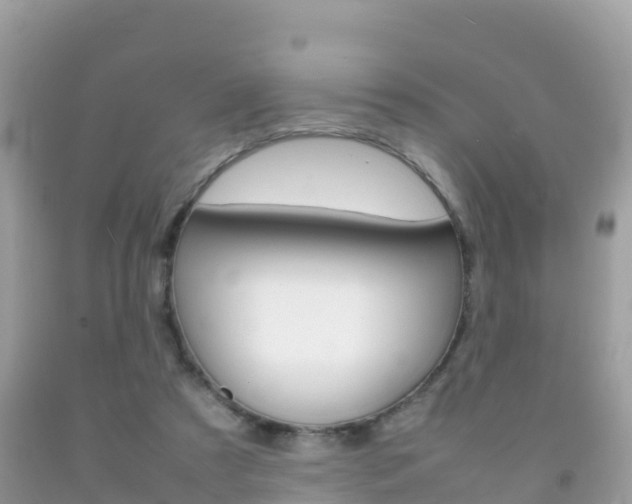 X0000092220305200709140927