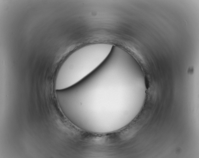 X0000092220306200709140927