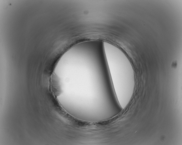 X0000092220307200709140927