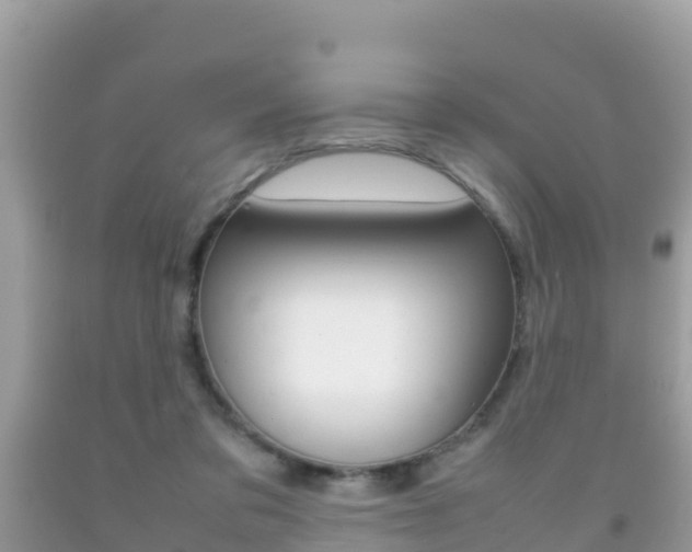 X0000092220309200709140927