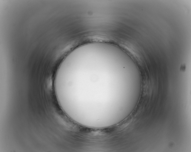 X0000092220310200709140927