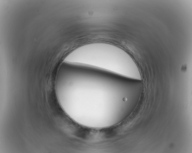 X0000092220311200709140927