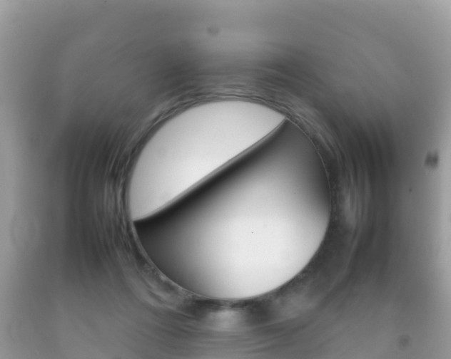 X0000092220312200709140927