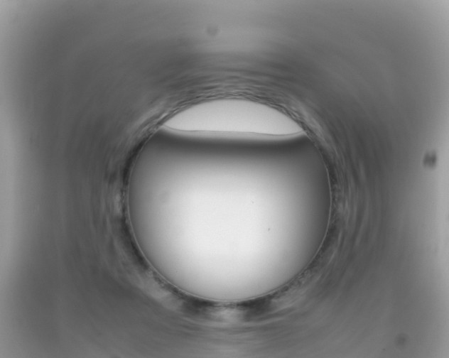 X0000092220313200709140927
