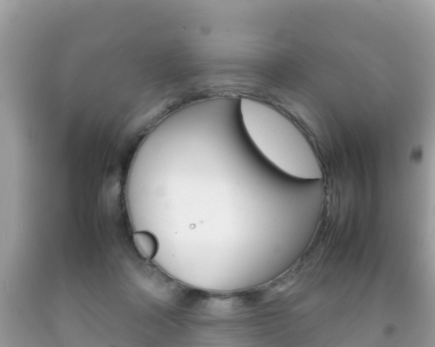 X0000092220314200709140927