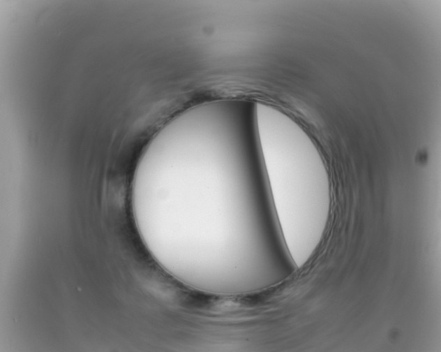 X0000092220315200709140927