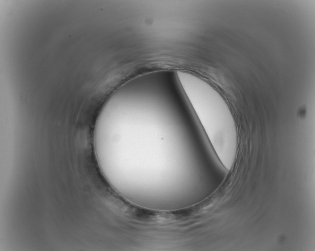 X0000092220317200709140927