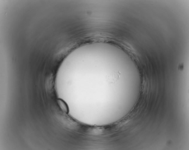 X0000092220318200709140927