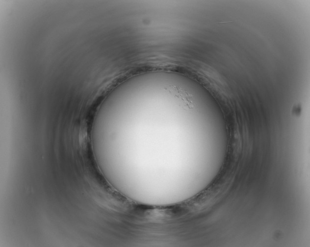 X0000092220320200709140927