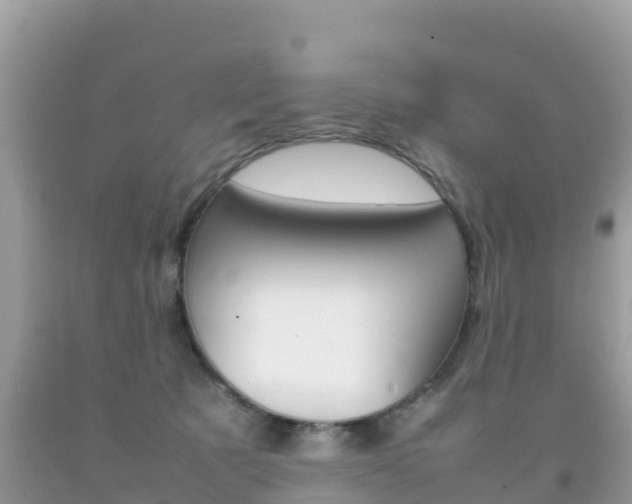 X0000092220321200709140927
