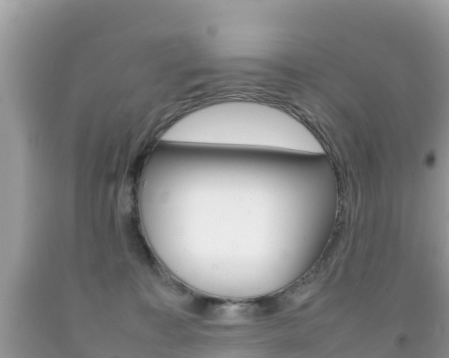 X0000092220323200709140927