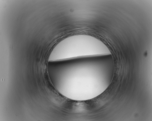 X0000092220324200709140927