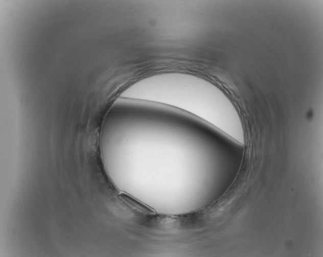 X0000092220325200709140927