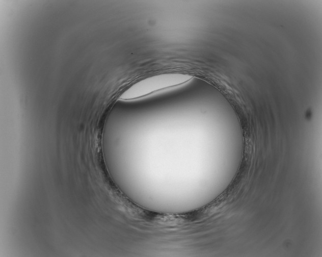 X0000092220331200709140927