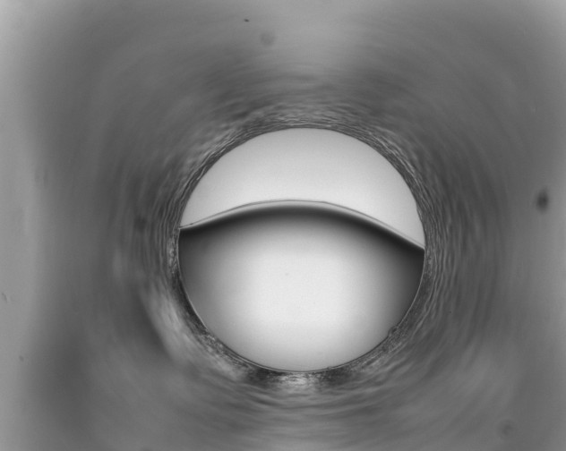 X0000092220335200709140926
