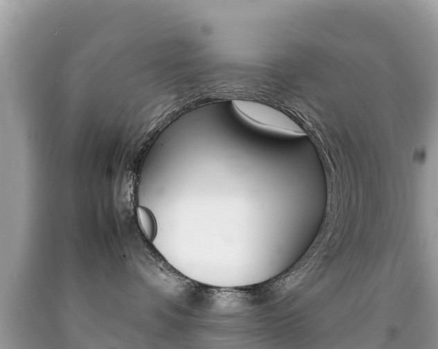 X0000092220336200709140926