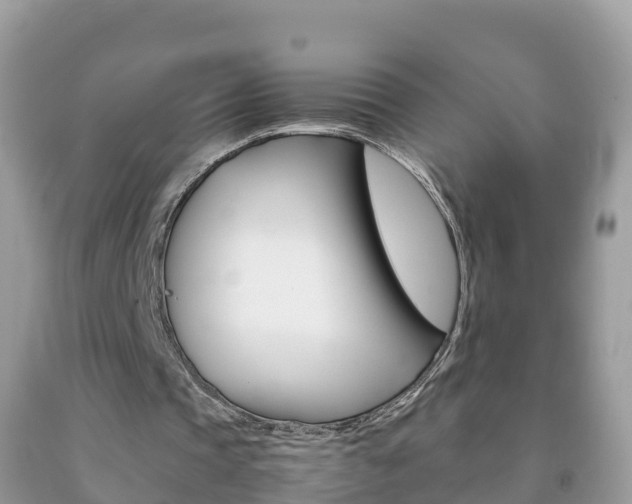 X0000092220337200709140926