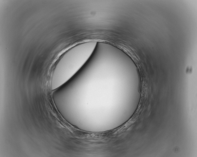 X0000092220338200709140926
