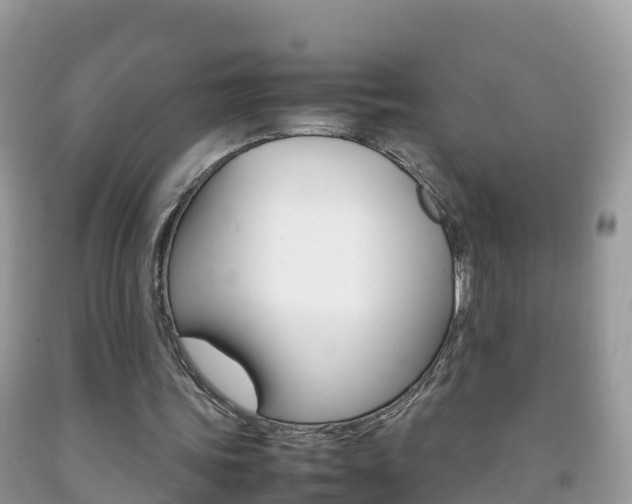 X0000092220339200709140926