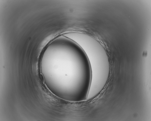 X0000092220340200709140926