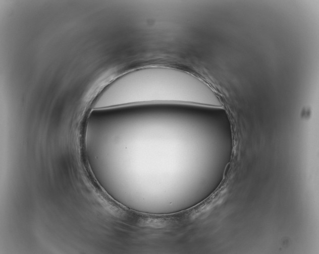 X0000092220341200709140926