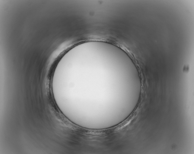 X0000092220343200709140926