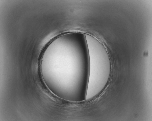 X0000092220344200709140926