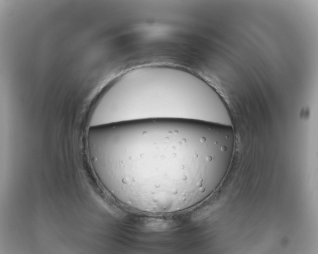 X0000092220347200709140926